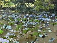 IMG_6630