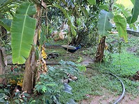 IMG_6627
