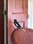 IMG_6750