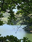 IMG_6731
