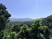IMG_6720