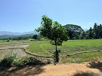 IMG_6717