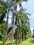 IMG_1984