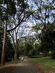 IMG_1982