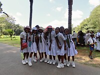 IMG_1971