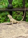 IMG_1923