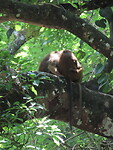 IMG_1968