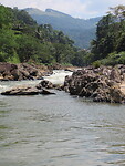 IMG_1964