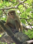IMG_1962