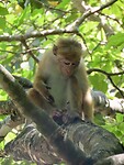 IMG_1961