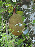IMG_1958