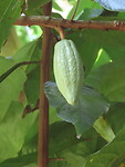 IMG_1957