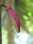 IMG_1955