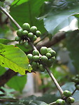 IMG_1954