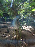 IMG_1952