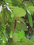 IMG_1945