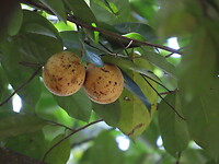 IMG_1944