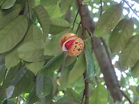 IMG_1943