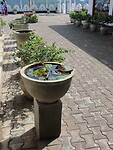 IMG_1890