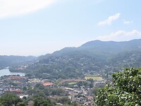 IMG_1882