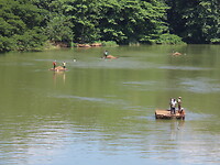 IMG_1938