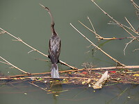 IMG_1933