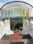 IMG_1877