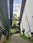 IMG_6854