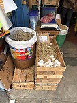 IMG_6834