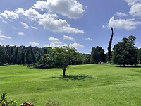 IMG_6832