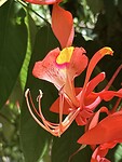 IMG_6831