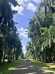IMG_6829