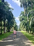 IMG_6827