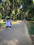 IMG_6819
