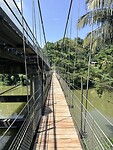 IMG_6808