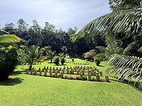 IMG_6803