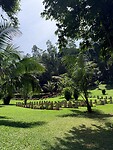 IMG_6796