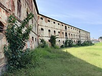 IMG_6792