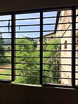 IMG_6791