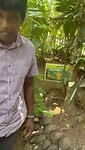 Herbal Garden