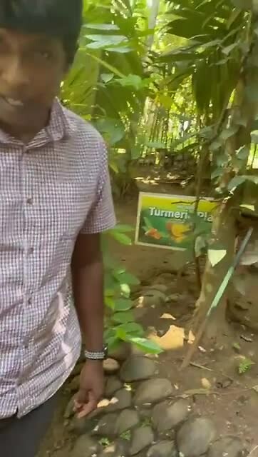 Herbal Garden