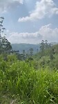 Sightseeing