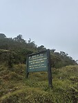 IMG_9419