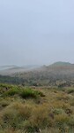 IMG_6977