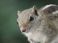 IMG_2176