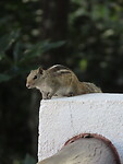 IMG_2175