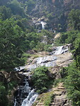 IMG_2154