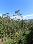 IMG_2103