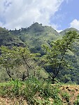 IMG_7188