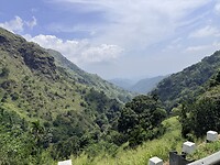 IMG_7186